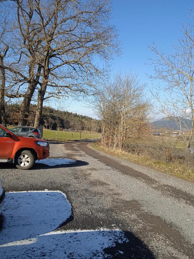 Gites De La Berthe Lantriac Dış mekan fotoğraf